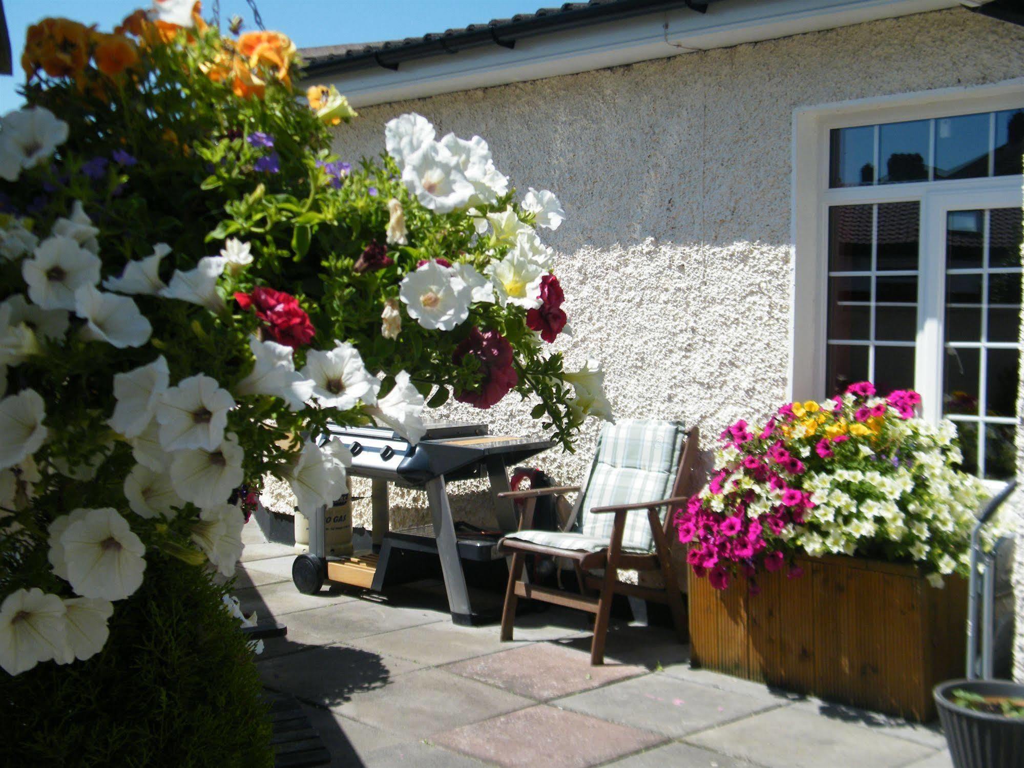 Bed and Breakfast Almanii Дублин Экстерьер фото